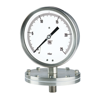 MN12/18 DN100-150 Diaphragm Pressure Gauge Threaded Connection